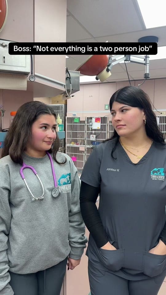 Post 3 by Town & Country Animal Hospital on TikTok (video)