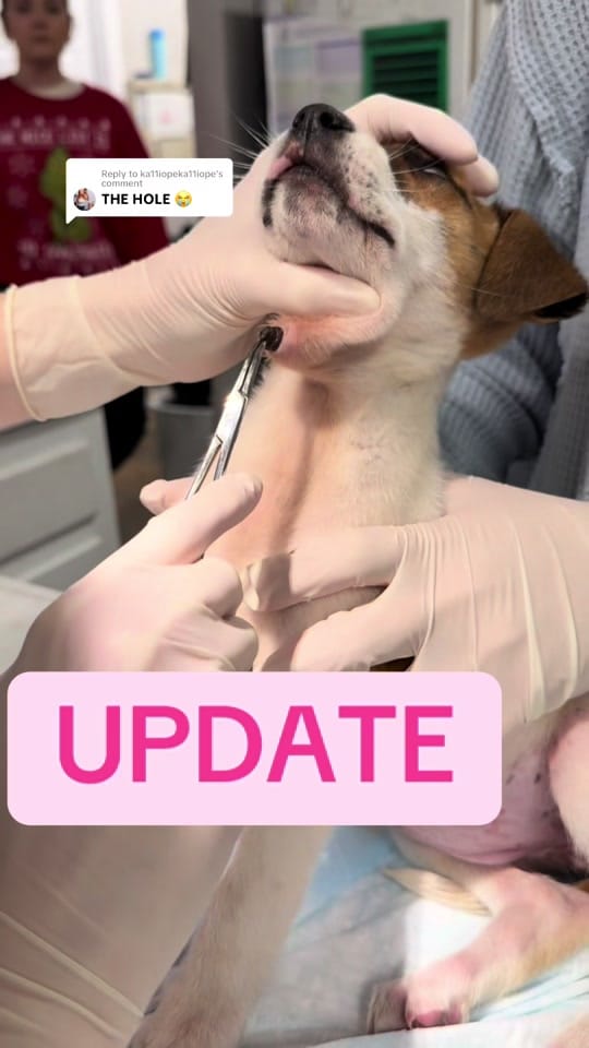 Post 6 by acc.pcc on TikTok (video)