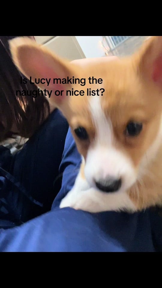 Post 5 by acc.pcc on TikTok (video)