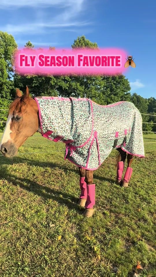 Post 1 by Happy Acres | 🐴🐶🐱 on TikTok (video)