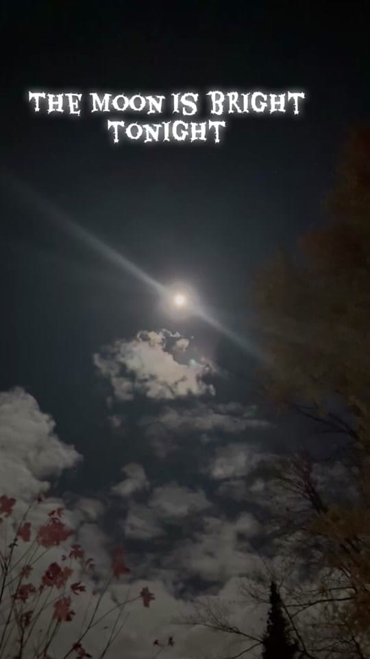 Post 5 by Chris Kemp Gen❌ on TikTok (video)