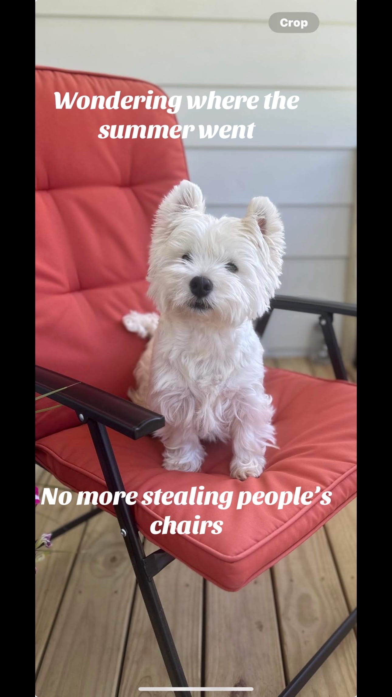 Post 6 by Chris Kemp Gen❌ on TikTok (video)
