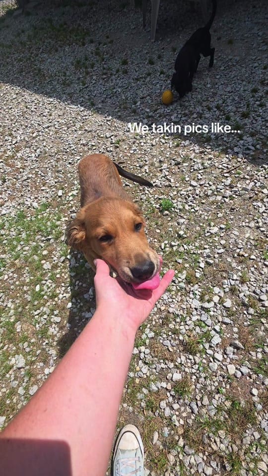 Post 3 by REAShelter on TikTok (video)