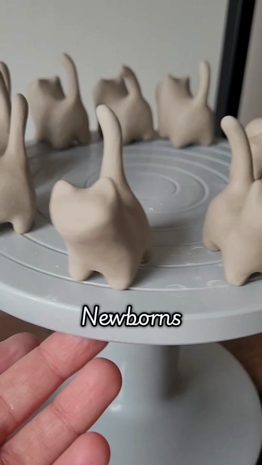 Post 6 by hollyashtree on TikTok (video)