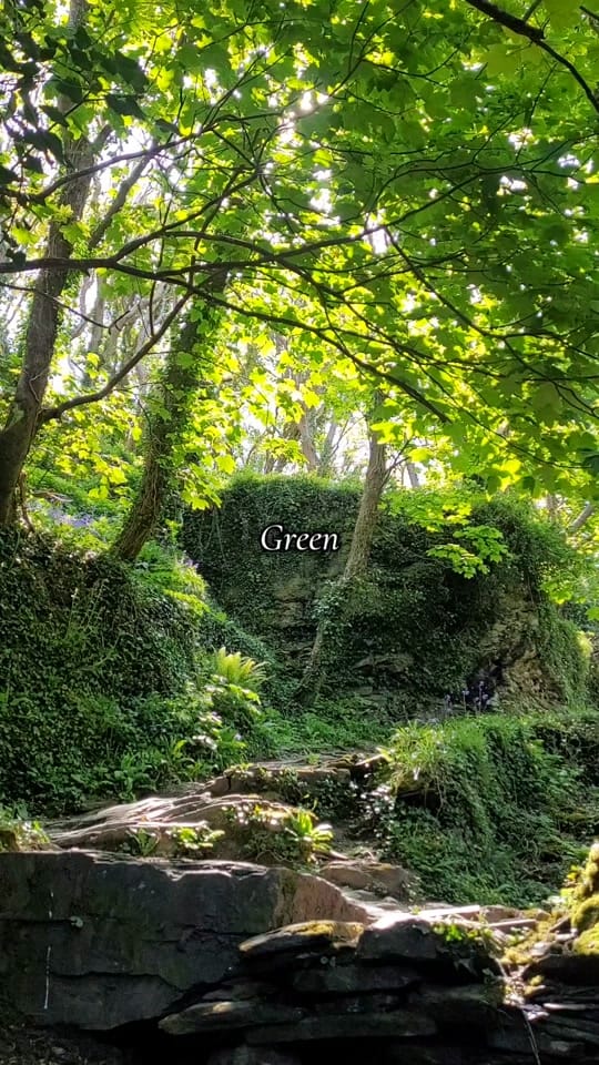 Post 7 by hollyashtree on TikTok (video)