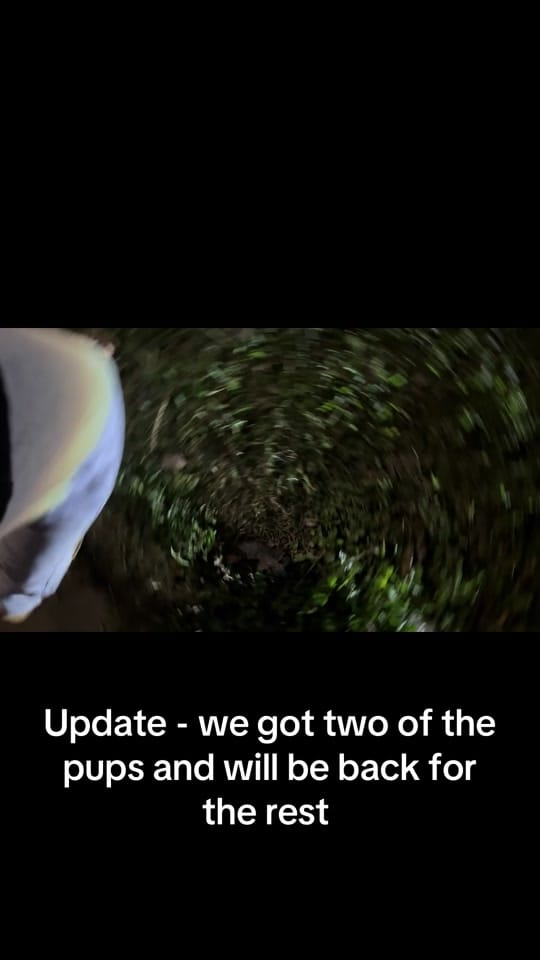 Post 3 by Alyssa Muse on TikTok (video)