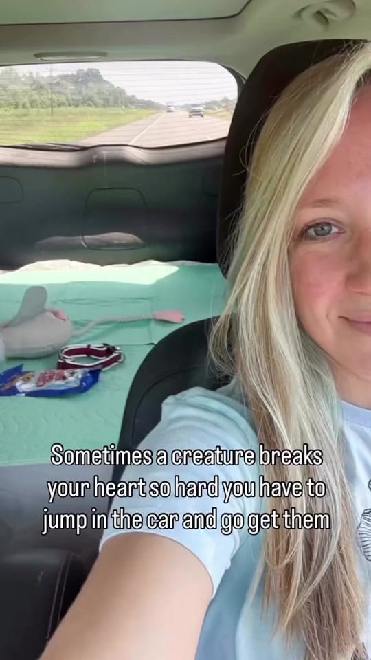 Post 9 by Alyssa Muse on TikTok (video)