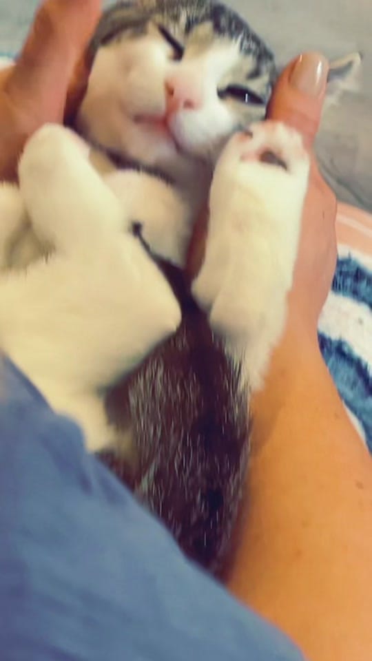 Post 5 by GGWeber80 on TikTok (video)