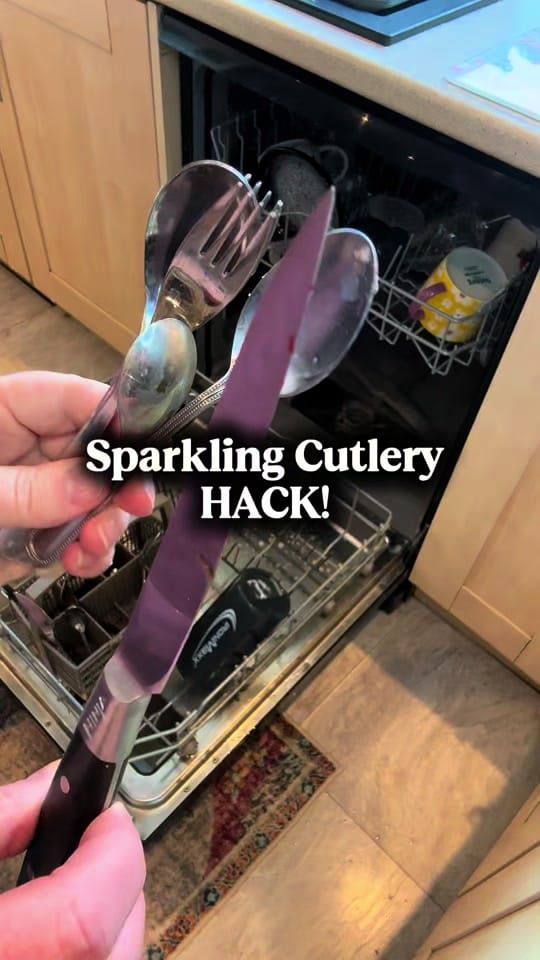 Post 6 by @sisterpledgecleans on TikTok (video)