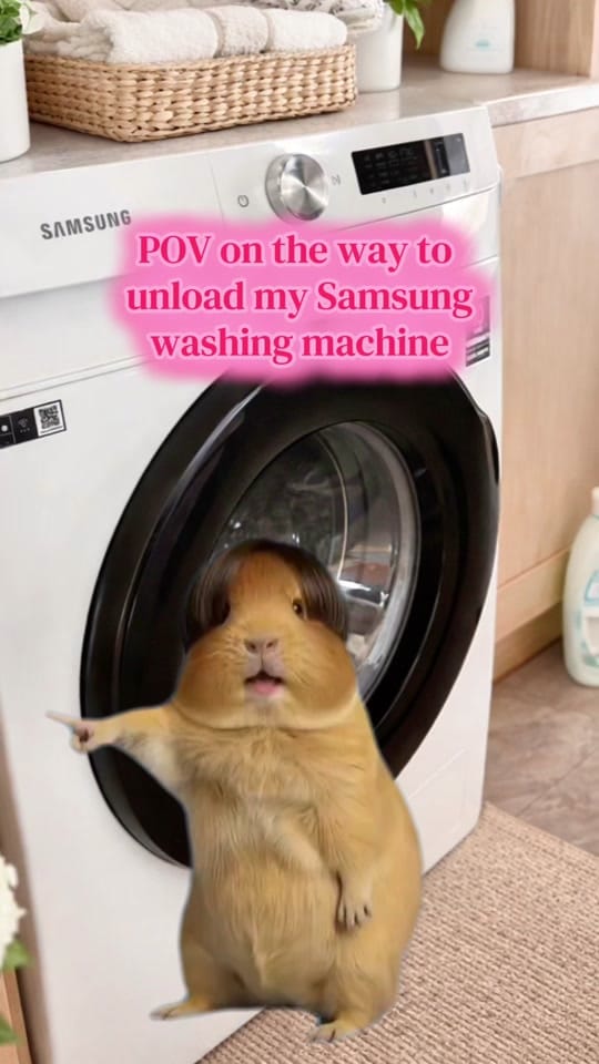 Post 2 by @sisterpledgecleans on TikTok (video)