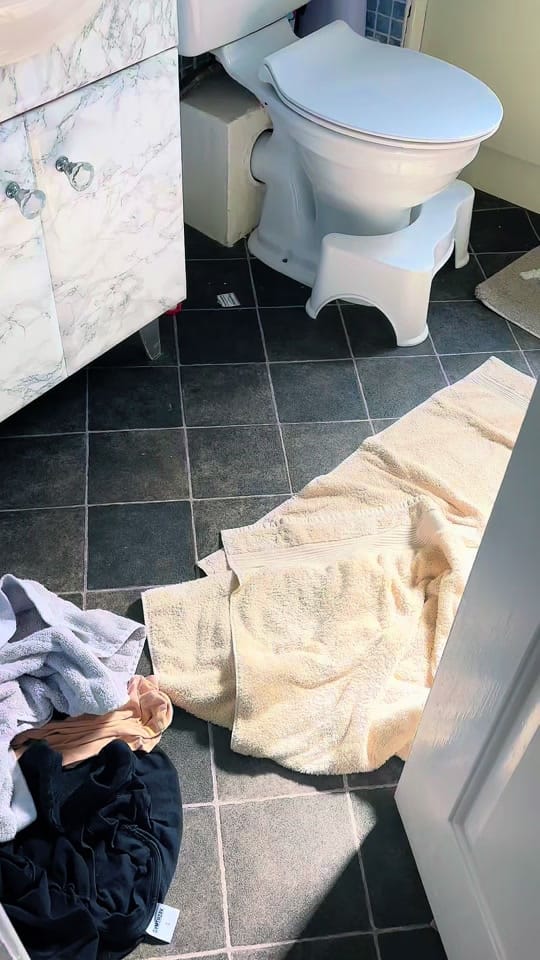 Post 4 by @sisterpledgecleans on TikTok (video)