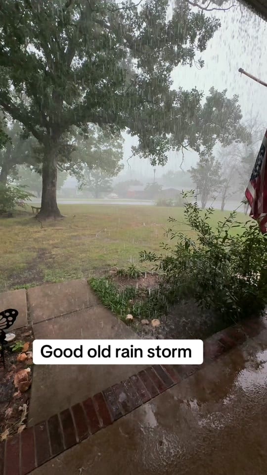 Post 6 by addie on TikTok (video)