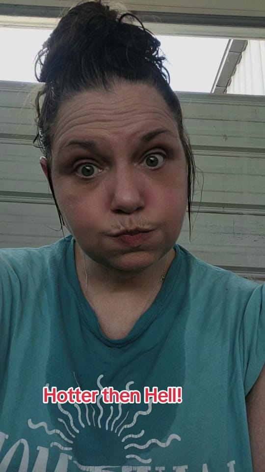 Post 6 by Missy💜🦋🌻🐐 on TikTok (video)