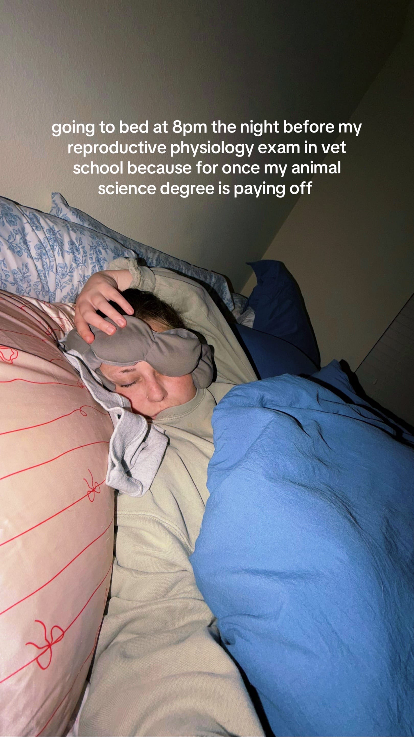 Post 4 by lizzy may | vet student ⚕️🎀🐾 on TikTok (video)