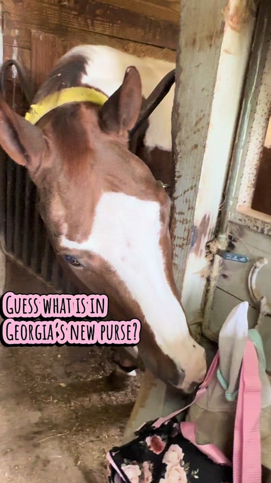 Post 4 by Treats with GeorgiaPeach! 🐴🍑 on TikTok (video)