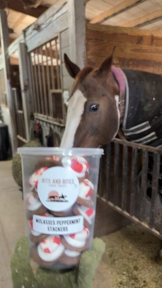 Post 10 by Treats with GeorgiaPeach! 🐴🍑 on TikTok (video)
