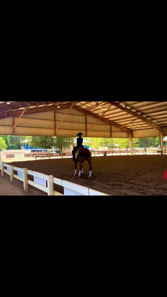 Post 6 by Treats with GeorgiaPeach! 🐴🍑 on TikTok (video)