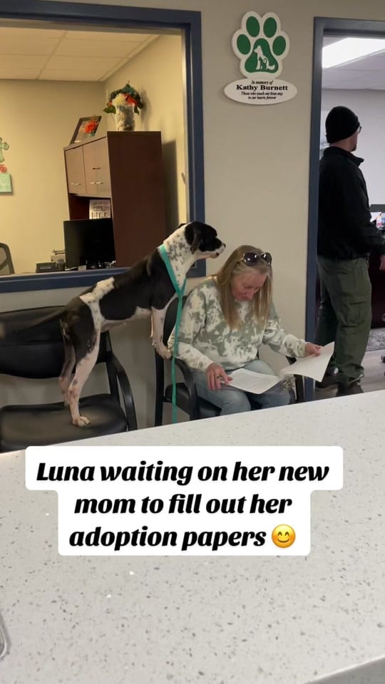 Post 9 by Walton County Animal Services on TikTok (video)