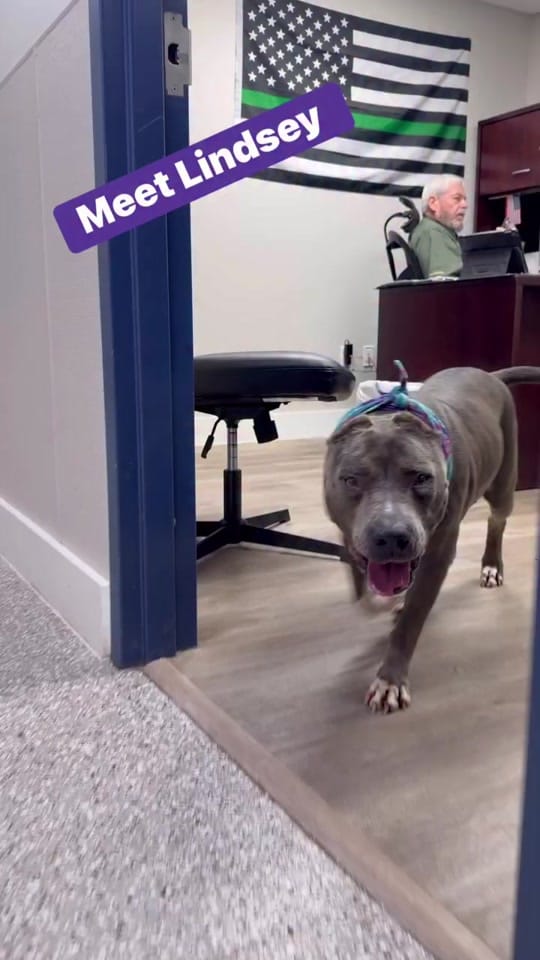 Post 6 by Walton County Animal Services on TikTok (video)