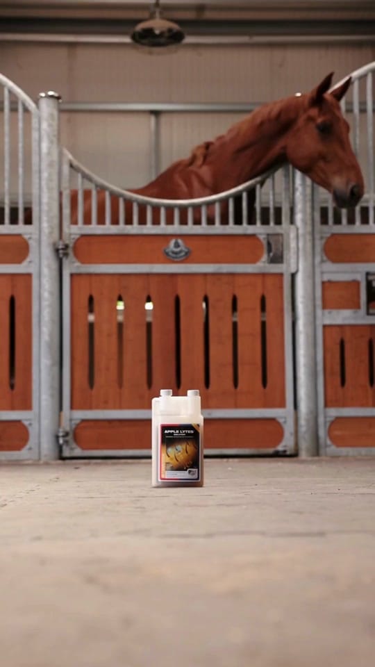 Post 8 by Equine America UK on TikTok (video)