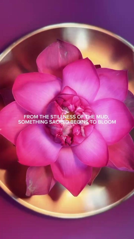 Post 2 by sahajanskincare on TikTok (video)