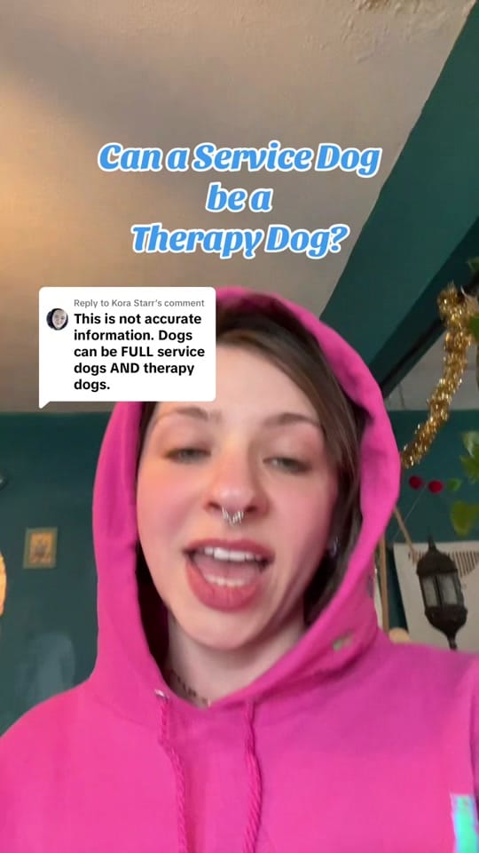 Post 2 by Survivor’s Companion on TikTok (video)