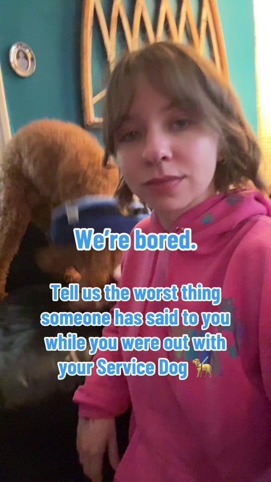 Post 7 by Survivor’s Companion on TikTok (video)