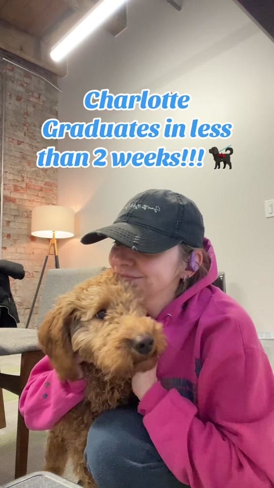 Post 3 by Survivor’s Companion on TikTok (video)