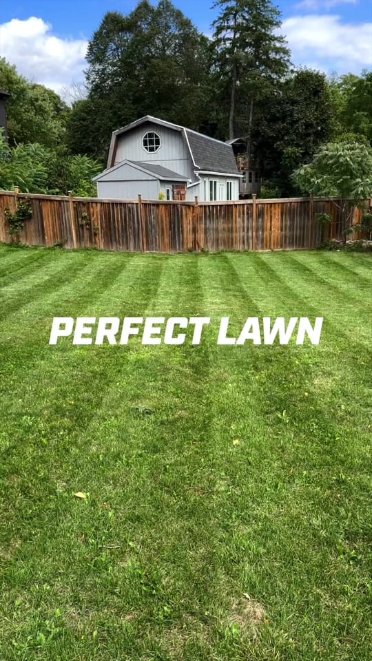 Post 3 by RYOBI Canada on TikTok (video)
