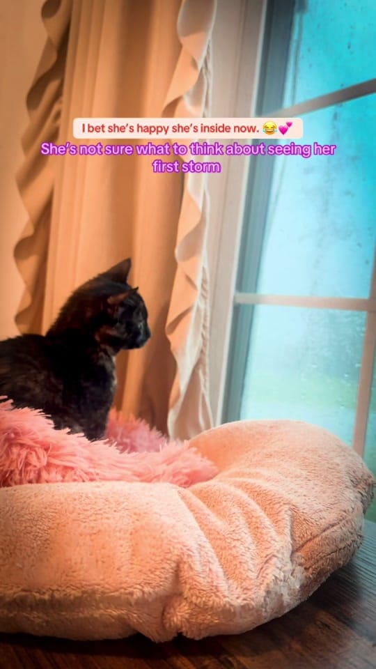 Post 2 by Ashley Dawn on TikTok (video)