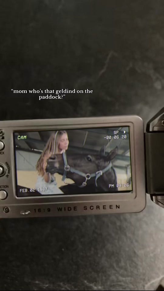 Post 5 by lara on TikTok (video)
