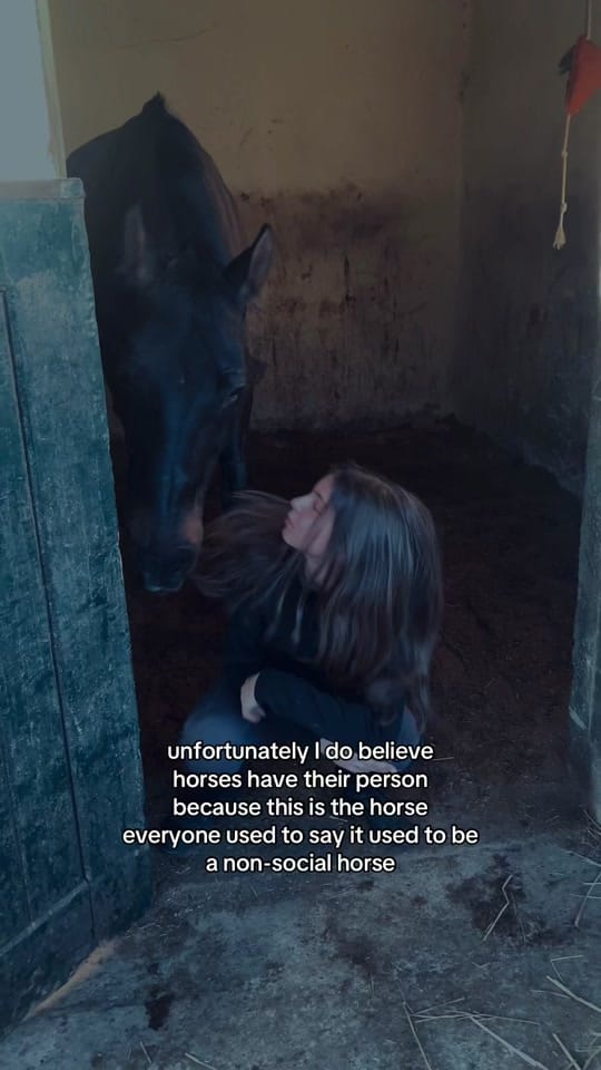 Post 8 by lara on TikTok (video)