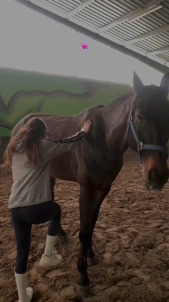 Post 10 by lara on TikTok (video)