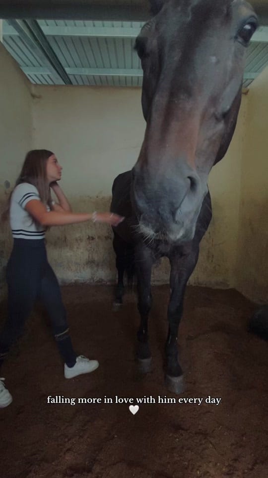 Post 4 by lara on TikTok (video)