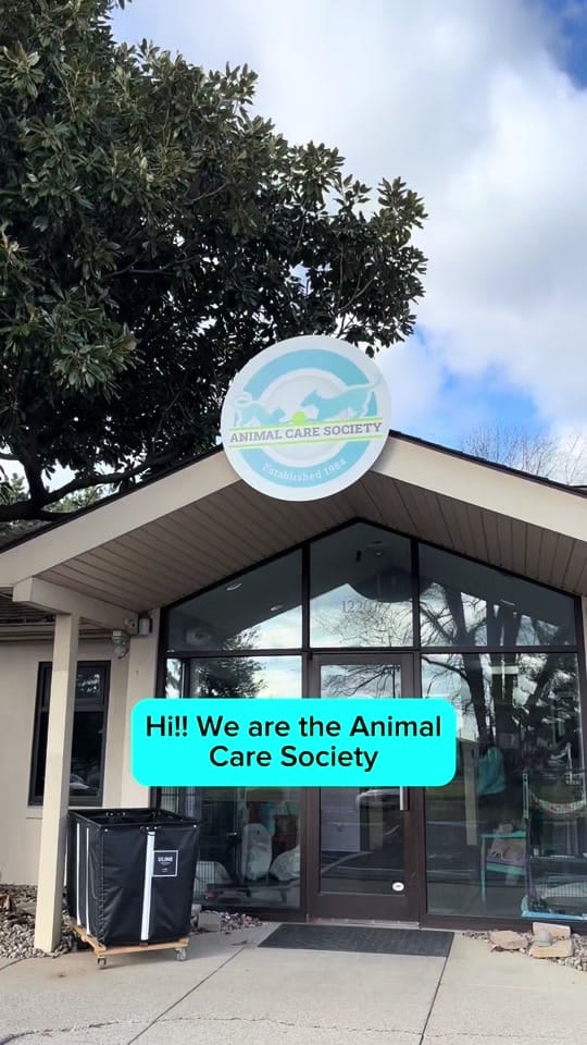 Post 10 by Animal Care Society on TikTok (video)