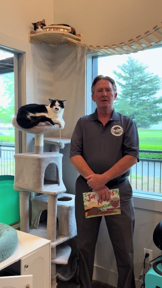 Post 5 by Animal Care Society on TikTok (video)