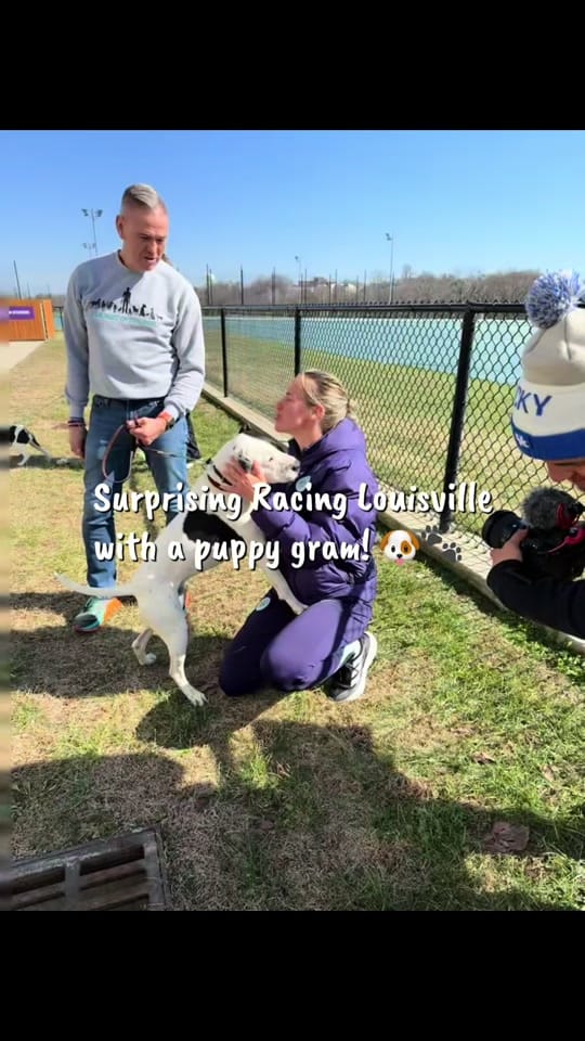 Post 7 by Animal Care Society on TikTok (video)