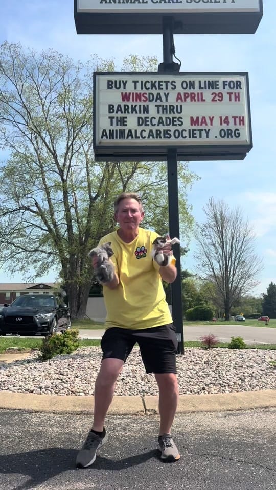 Post 6 by Animal Care Society on TikTok (video)