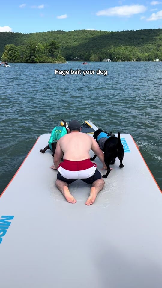 Post 7 by Maria the Lab on TikTok (video)