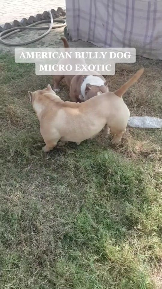 Post 9 by M A N D Y 0 0 2 6 on TikTok (video)