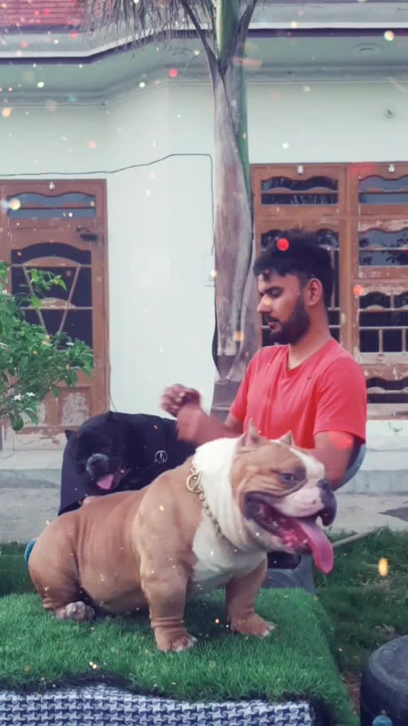 Post 3 by M A N D Y 0 0 2 6 on TikTok (video)