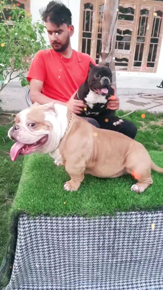Post 5 by M A N D Y 0 0 2 6 on TikTok (video)