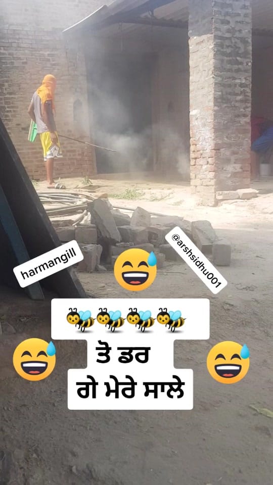 Post 1 by M A N D Y 0 0 2 6 on TikTok (video)
