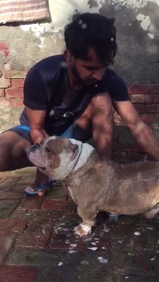 Post 6 by M A N D Y 0 0 2 6 on TikTok (video)