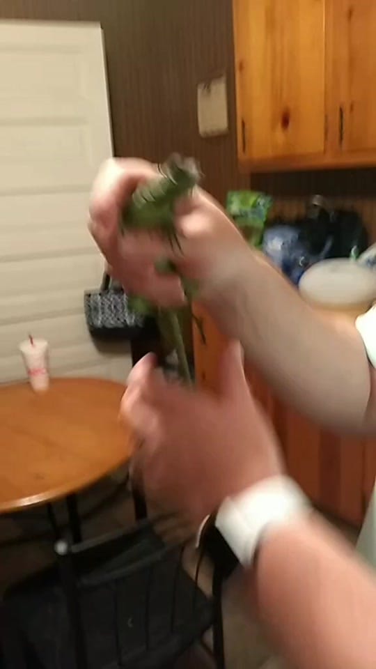 Post 8 by Kay Smith on TikTok (video)