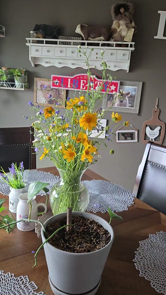 Post 7 by Rainey Daze on TikTok (video)
