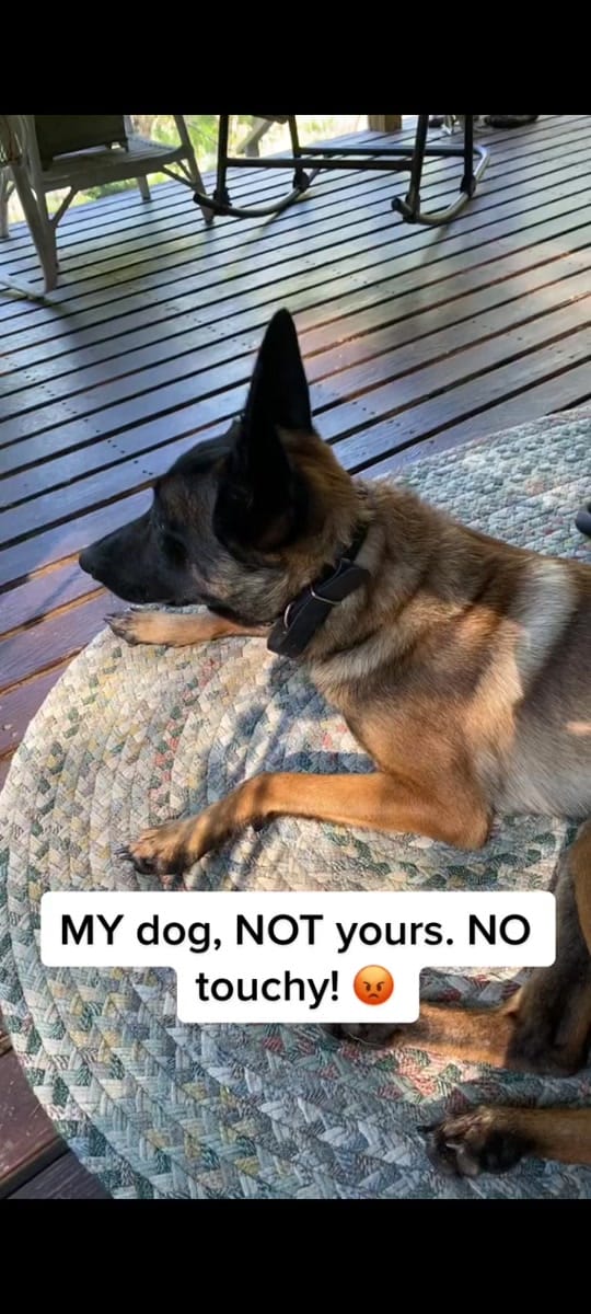 Post 9 by porcelinathirtythree on TikTok (video)