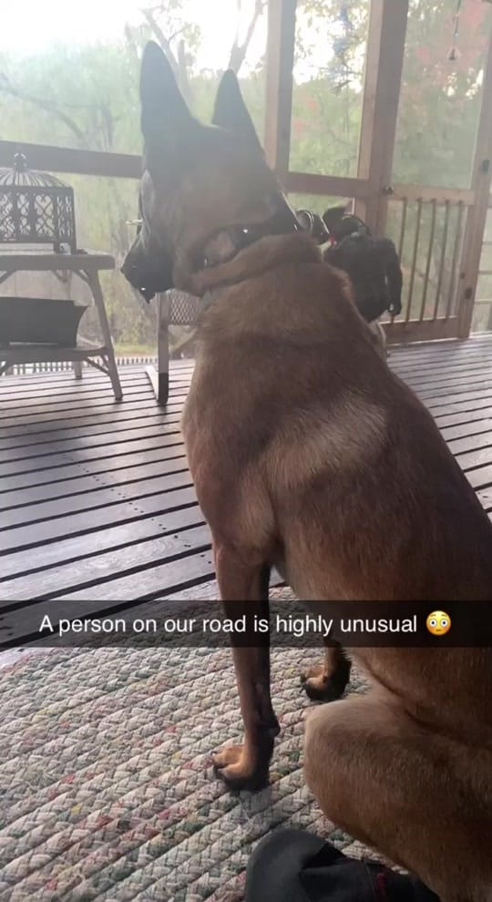 Post 8 by porcelinathirtythree on TikTok (video)
