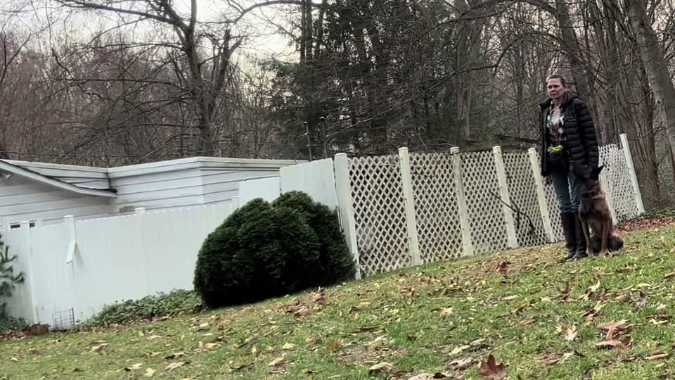 Post 4 by porcelinathirtythree on TikTok (video)