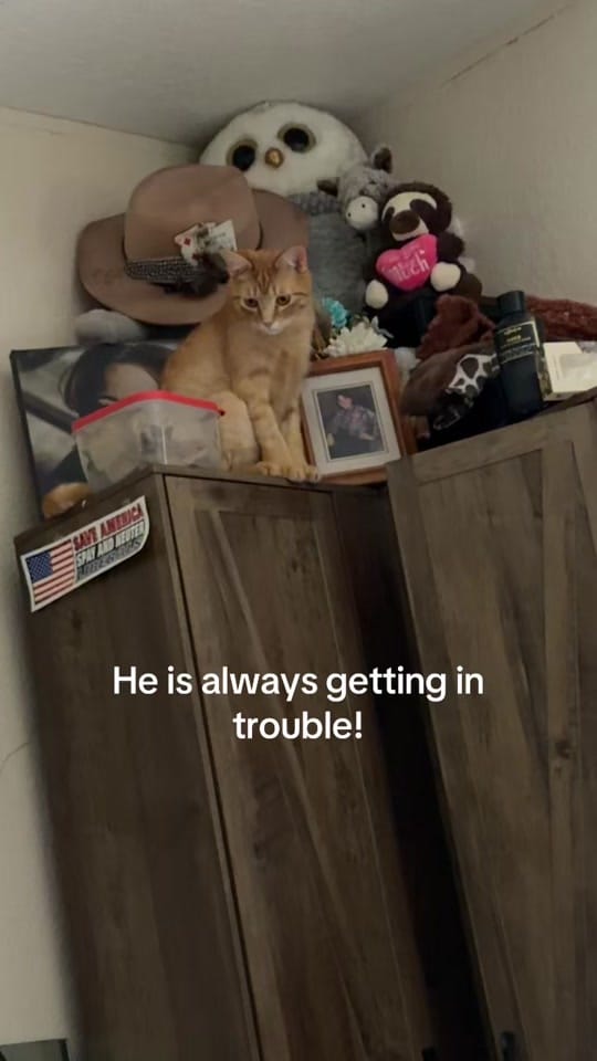 Post 6 by Martha Allen❤️ on TikTok (video)